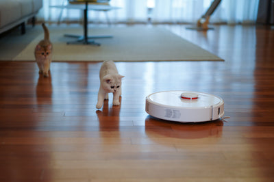 Can a Robot Vacuum Cleaner Replace A Normal Vacuum Cleaner?